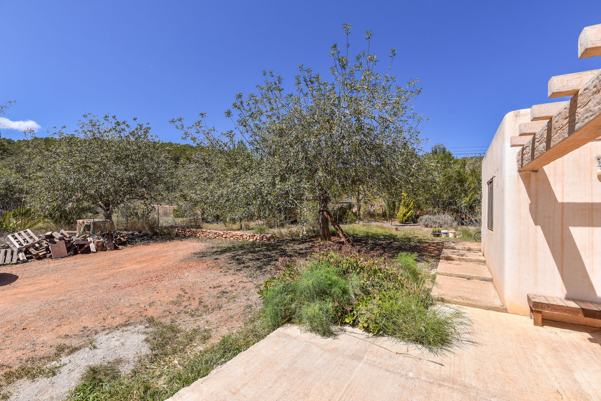 Resa Estate finc for sale Ibiza santa gertrudis te koop spanje side and garden.jpg